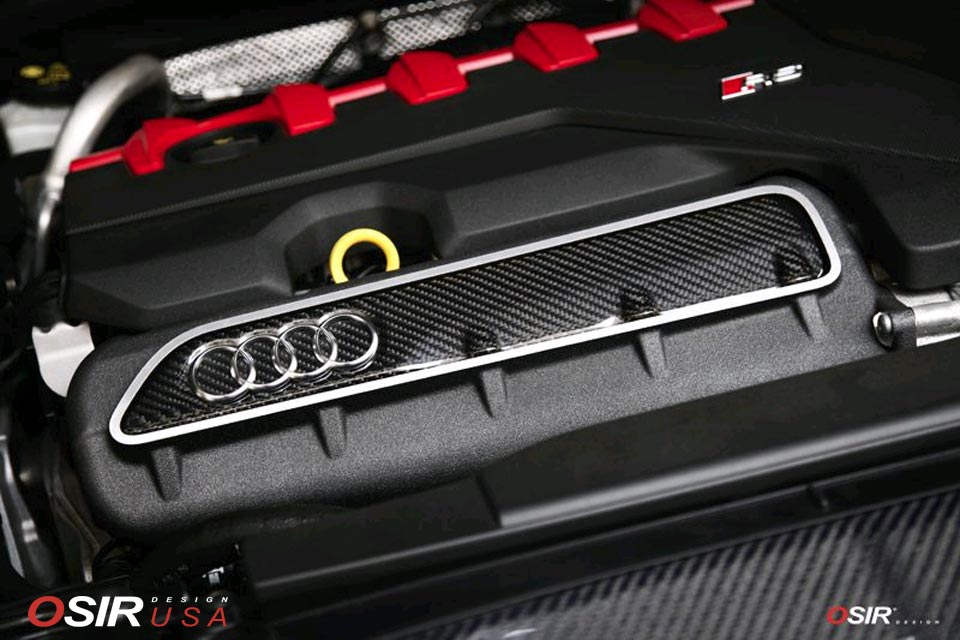 Osir Design - Intake Cover TTRSMK3 - Carbon Fiber - Audi TT