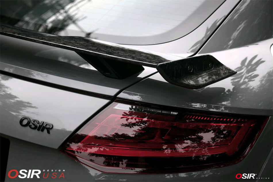 Osir Design - Telson TTMK3-RSF - Carbon Fiber - Audi TT RS Mk3